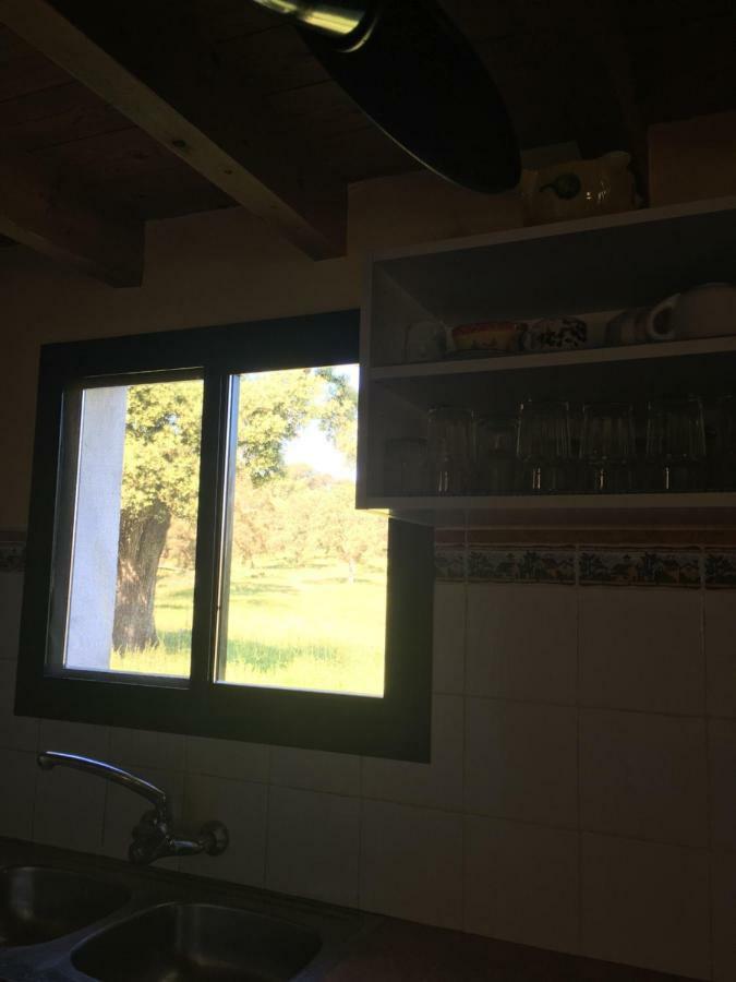 Casa Rural Monterrey アローチェ エクステリア 写真