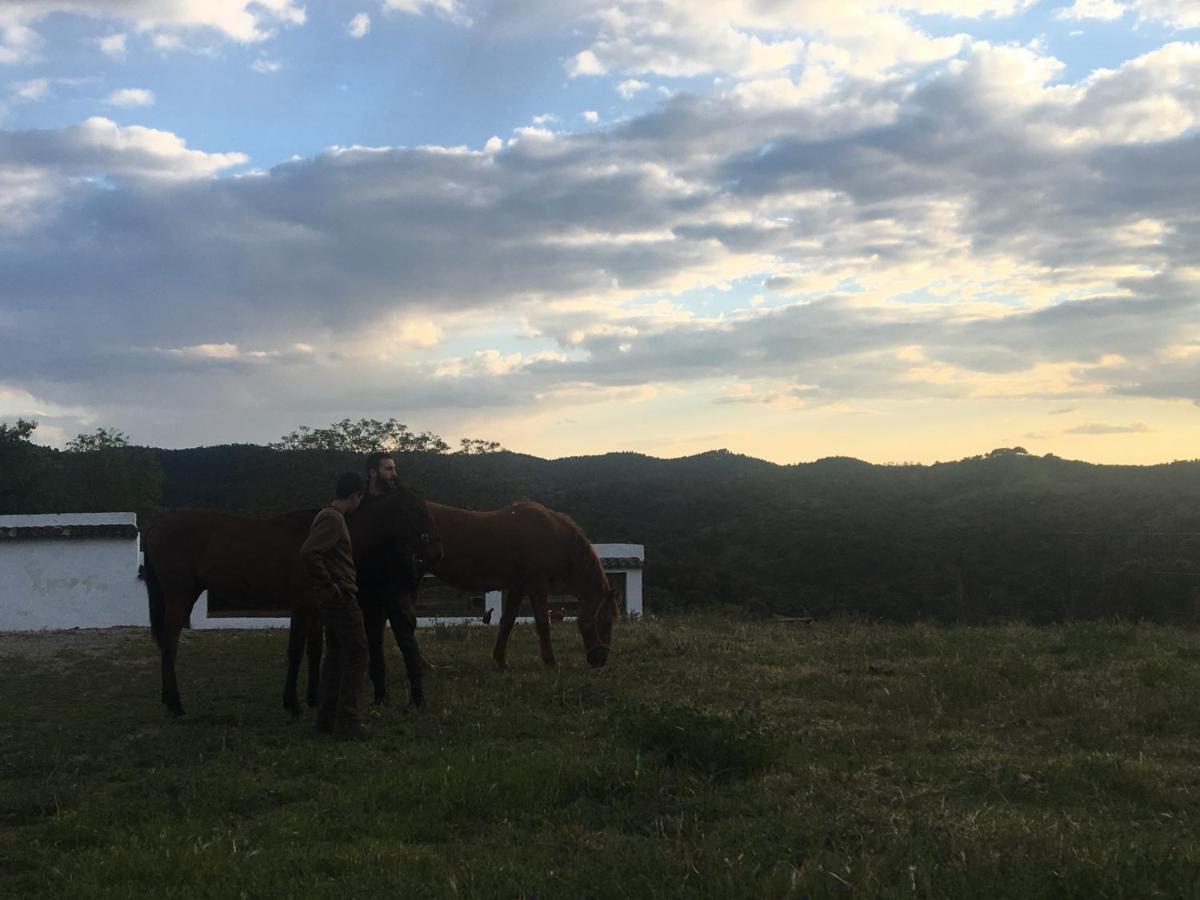 Casa Rural Monterrey アローチェ エクステリア 写真